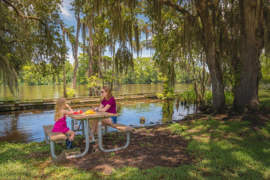 A family sharing a picnic under live oaks by the river at Fairview-Riverside State Park